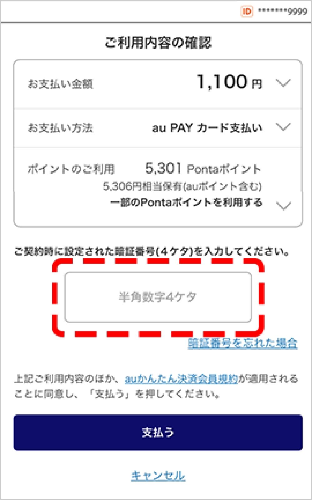 aupaycard_3.jpg